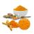 USDA Approved Bulk Organic Turmeric Extract Powder in USA