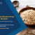 Gluten-Free Oats Market Report Size, Share, Growth & Forecast 2020-2025