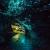 10 Dazzling Glowworm Cave Images - Fontica Blog