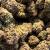 Pink Godfather OG Bud: Experience the Ultimate Indica High