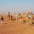 Jaisalmer Tour Packages