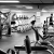 Which are the Gym fitness equipment available online? &#8211; Wilder Gym Equipment