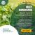HACCP Certification