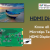 HDMI LCD display module suppliers