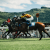 Horse Racing Betting—Tips and Tricks! | JeetWin Blog