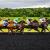 Horse Racing Online Guide - Bet Now on JeetWin | JeetWin Blog