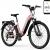 HOVSCO Commuter Front Suspension Electric Mountain Bike
