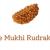 One Mukhi Rudraksha, It&#039;s Benefits, Precautions, And Types