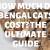 Authentic Bengal Cats - Everything You Need To Know About Bengal Cats