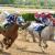How Online Horse Race Betting Works | Full Guide | JeetWin Blog
