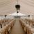 How to Host a Great Marquee Wedding - Vintank