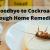 How to Say Goodbye to Cockroaches through Home Remedies