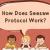 How Does Seesaw Protocol Work? - WriteUpCafe.com