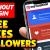 free instagram followers enter username | Lucialpiazzale