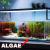 14 Savvy Ways To Spend Leftover Saltwater Reef Tank Budget: collinjrna308: My interesting blog 6162