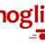 Moglix: Redefining Industrial Sourcing and Procurement| Reward Eagle