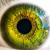 The Eye Care Centre