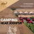 Osian Resorts and Camps: Reasons to Book a Camping and Desert Safari