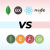 MEAN vs. MERN Stack: Which One Pays-off Best in Web Development?