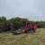 DIGNIT 21 PTY LTD | Leading Vegetation Management &amp; Land Clearing Services