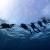 Open Water Diver Course in Koh Tao | Best Price Guaranteed!