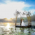 Preserve the Beautiful Moments with Wedding Videographers 