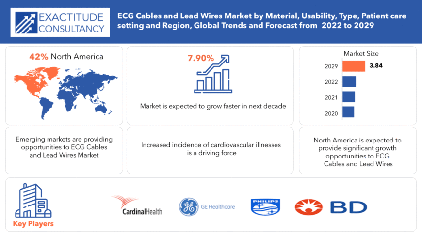 ECG Cables and Lead Wires Market | Size | Growth | forecast to 2029