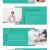 Infographics How To Balance Online Classes And Work