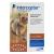 Buy Interceptor Spectrum Tasty Chews For Very Small Dogs Up To 4Kg (Brown) Online