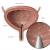 urinary problems cape town