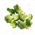 Frozen Broccoli &amp; Cauliflower Process Line - Customized IQF Freezer