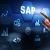 SAP ABAP developer or a FICO consultant, which is better?