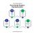 Search Engine Optimization (SEO Packages) - Ranking Rapid