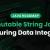 Immutable String Java - Ensuring Data Integrity