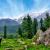 Kashmir Package Tour from Mumbai Itinerary with NatureWings