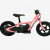 kids electric bike