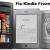 Kindle Fire Frozen