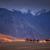 Ladakh Nubra Valley Package Tour from Kolkata with NatureWings