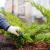 The Best Ways to Improve Landscaping in Burnaby