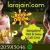 Bangalore Escorts - Escorts in Bangalore Call Girls | Lara Jain