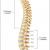 IS CHIROPRACTIC RIGHT FOR YOU