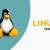 Linux Training in Delhi: Best Courses for Beginners