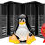 Buy Linux Web Hosting in India @ Affordable Price | Intouch