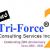 Tri-Force IT Consulting offering solutions to Government &amp; Commercial sectors
