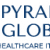 Medical Billing Solutions For Medical Practices - Pyramids Global