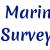 CARGO &amp; DRAFT SURVEYS | Maiden Marine Surveys