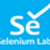 Selenium with Python Training Institute in Bangalore - Selenium Labs