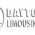 Dayton Limousines | Limo & Party Bus Service in Ohio