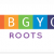 Vibgyor Roots: Pre-School for Kids, Playschool, Nursery & KG in India