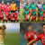 Football World Cup: Switzerland finally ready for the big hit &#8211; Football World Cup Tickets | Qatar Football World Cup Tickets &amp; Hospitality | FIFA World Cup Tickets